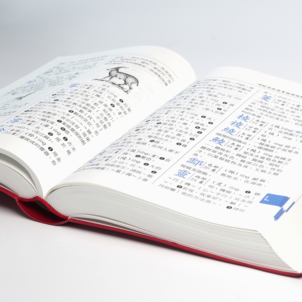 字典纸